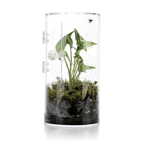 Jumping Spider Enclosure, 11 1/2”*6”*6”, Micro Habitat Terrariums, Arboreal Reptile Tank