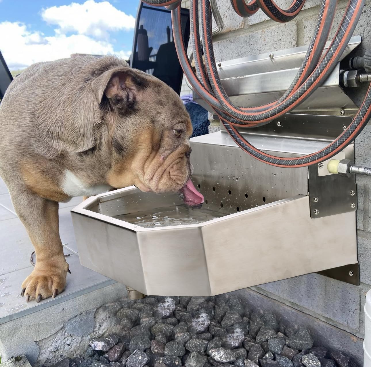 Outdoor Automatic Dog Waterer Bowl Dispenser,Self Filling Stock Waterer for Horses, Cattle, Goats, Pigs, Livestock, Heavy Stainless Steel, Extra Large Farm Animal Waterer Dispenser