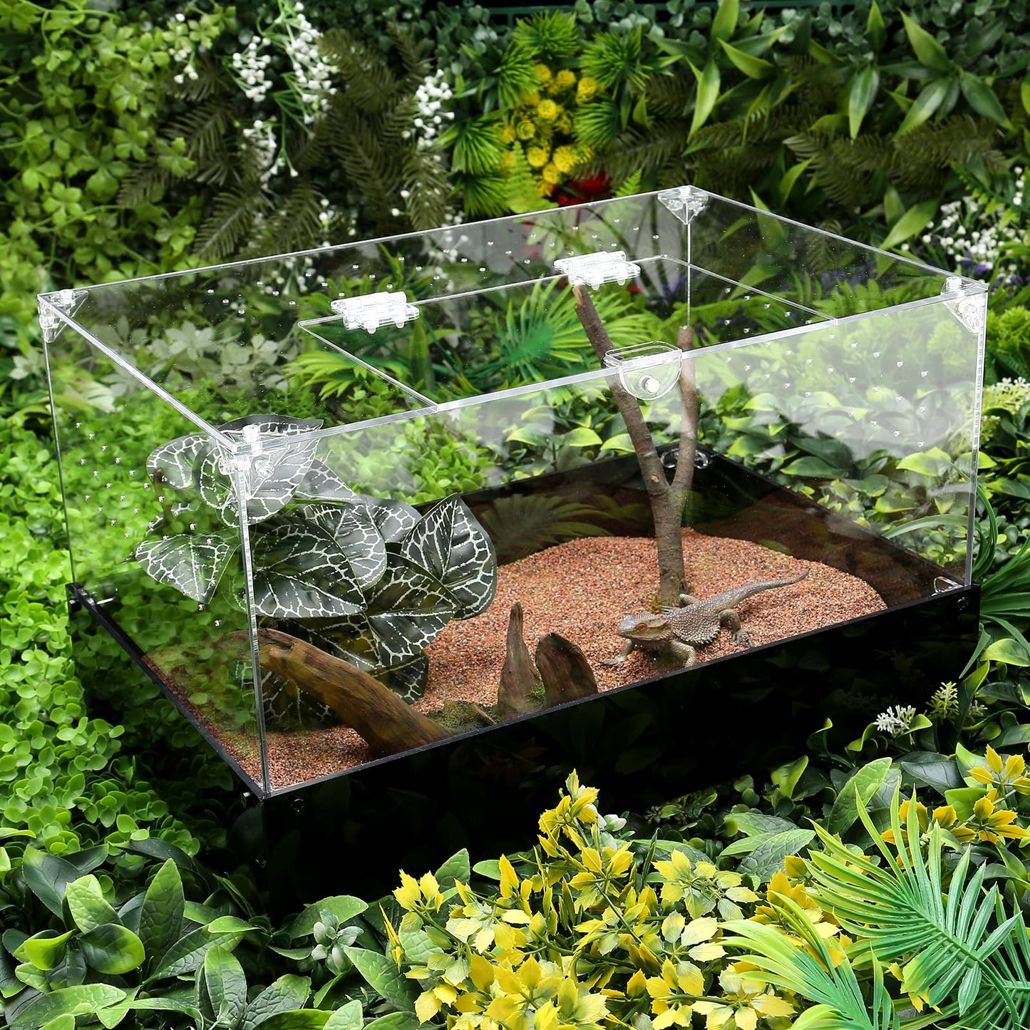 Hermit Crab Tank, Tarantula Enclosure Reptile Terrarium, 15 * 10 * 8 1/2" Acrylic Cage for Insect, Amphibians, Bugs, Snail,Scorpion, Mantis