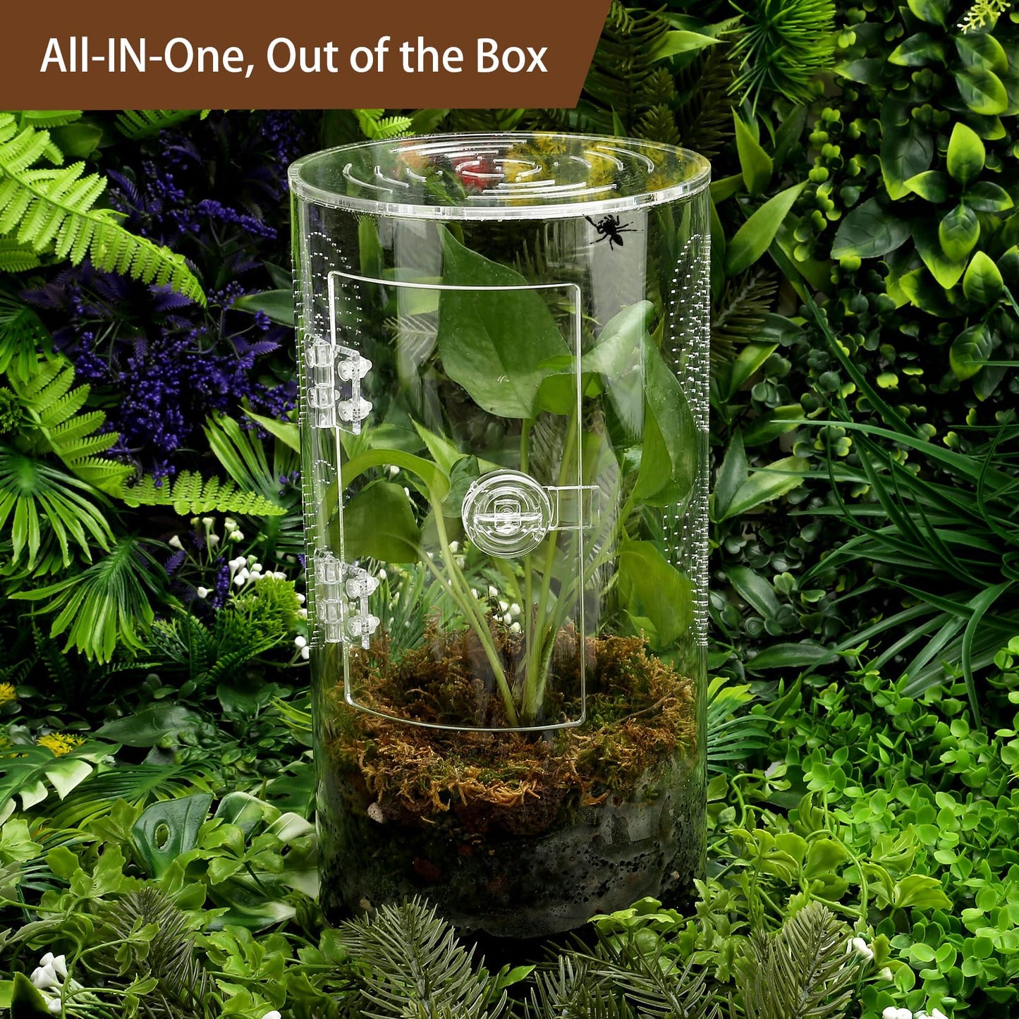 Jumping Spider Enclosure, 11 1/2”*6”*6”, Micro Habitat Terrariums, Arboreal Reptile Tank