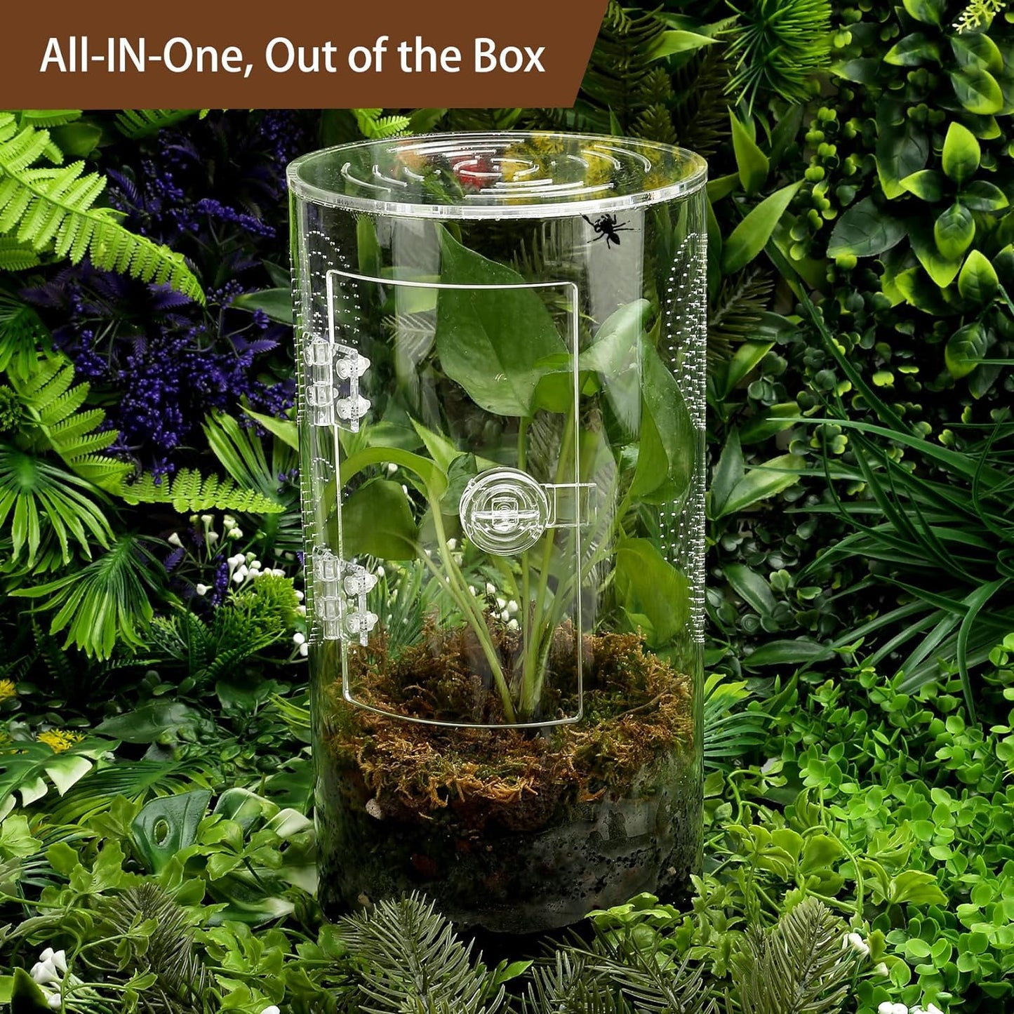 Jumping Spider Enclosure, 11.5”*6”*6”, Micro Habitat Terrariums, Arboreal Reptile Tank with Front Opening Door,Tarantula Enclosure, Plant Greenhouse